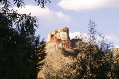 Burg von Leh- 2007